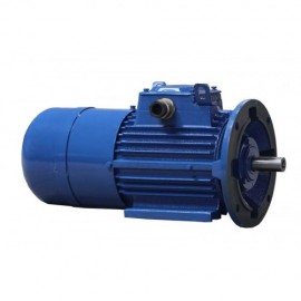 Motor electric cu frana 100LB-4 3 kW 1500 rpm